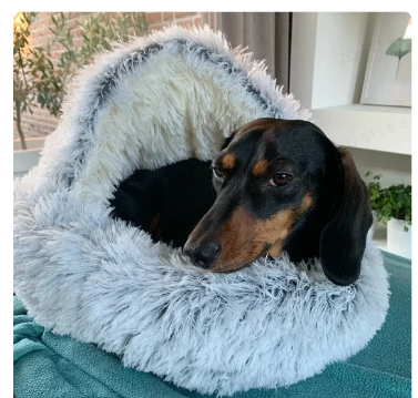 2-in-1 Pet Bed — Round Plush Warm Bed for Cats & Small Dogs